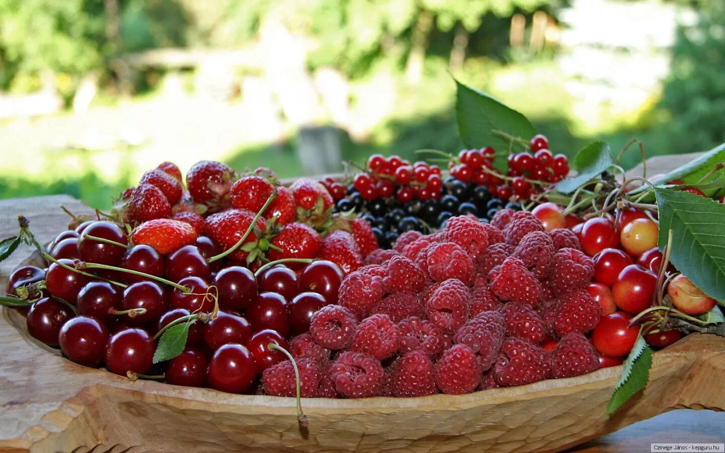 Клубника, малина, вишня, крыжовник (ягоды). Красивые ягоды. Лето фрукты ягоды. Природа ягоды.
