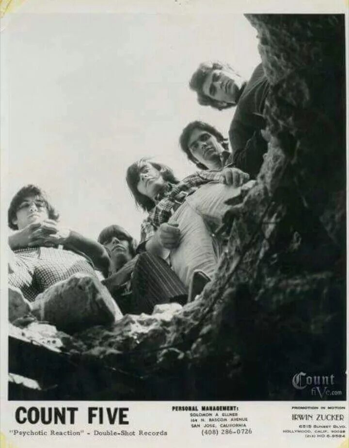 Count five. Группа count five. 1966 rock music. the pentangle uk rock-groups.