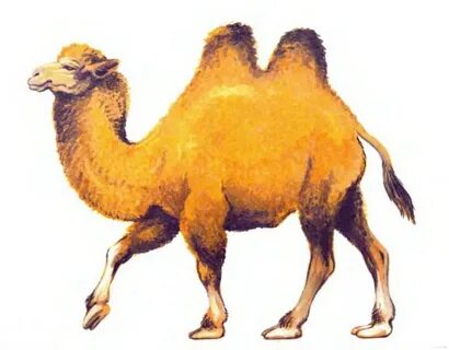 Күйеуі досына әйелін жалауға рұқсат берді.