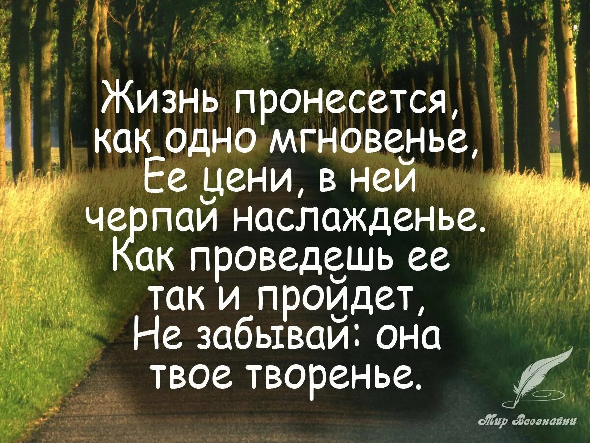 Прочитать интересное о жизни. Красивые и Мудрые высказывания. Интересные высказывания. Красивые философские фразы. Афоризмы и цитаты.