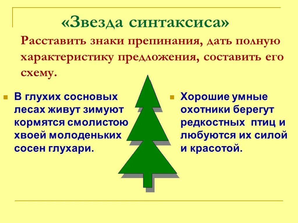 Предложения с словом хвойный. Умные охотники берегут редкостных птиц любуются. Умные охотники берегут. В глухих сосновых лесах живут зимуют Глухарь. В глухих сосновых лесах живут Глухари.