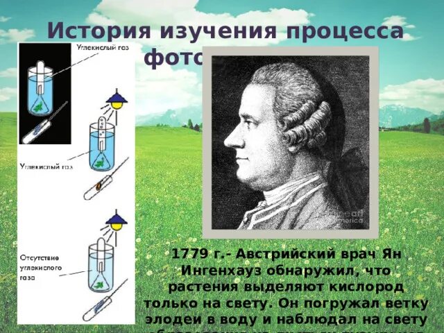 Опыт сенебье с водными растениями. Опыт сенебье с водными растениями. Опыт сенебье фотосинтез. На изображенном рисунке проводится опыт. Опыт жана сенебье по фотосинтезу.