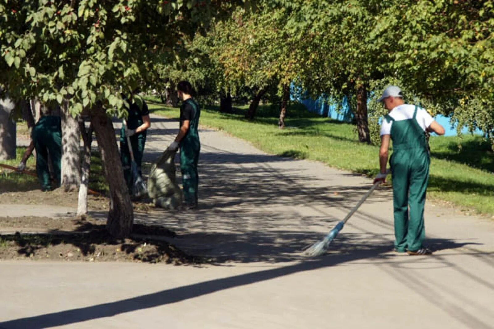 Освобождение от общественных работ. Справка освобождение от работы прикол. Понятие и порядок общественных работ. Справка об освобождении от домашних дел. Общественная работа это примеры.