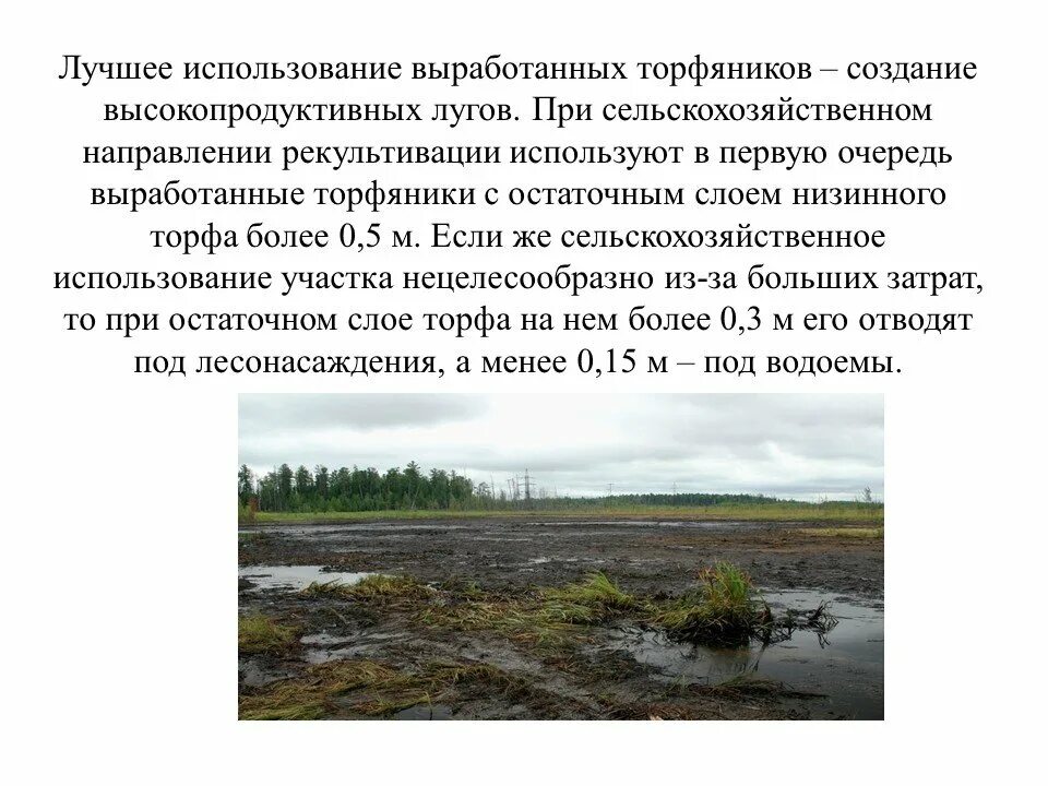 Место добычи торфа 4 класс окружающий мир. Рекультивация торфяников. экологические проблемы связанные с добычей торфа. экологическая проблема добычи торфа. охрана торфа.