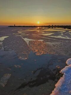 Какое море нашей страны не замерзает