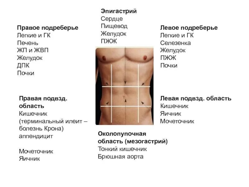 Боль в левом спереди