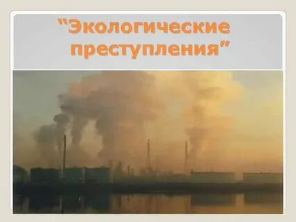 Факты экологических правонарушений