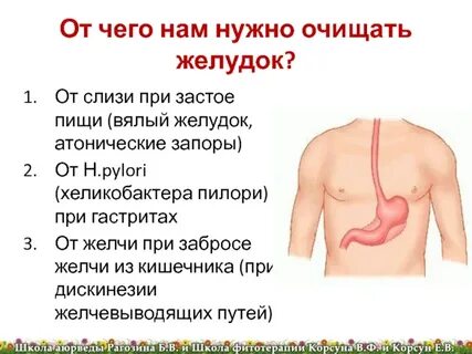 У ребенка встал желудок что делать