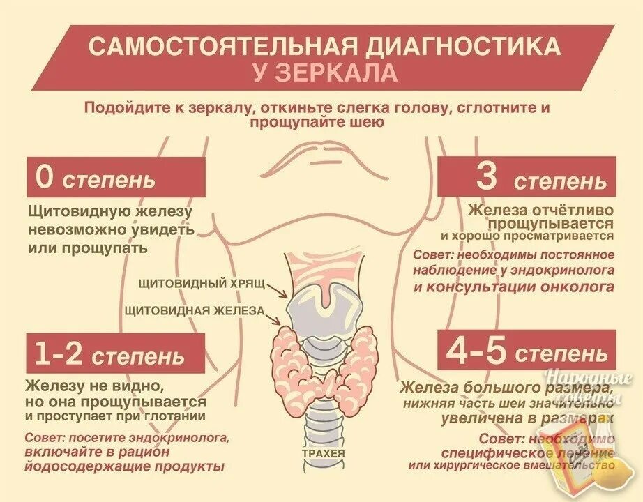 щитовидная железа проблемы лечение. проблемы с щитовидной железой у женщин. заболевание щитовиднойжелезв. проблемы с щитовидной железой симптомы. гормоны щитовидной железы симптомы нарушений.