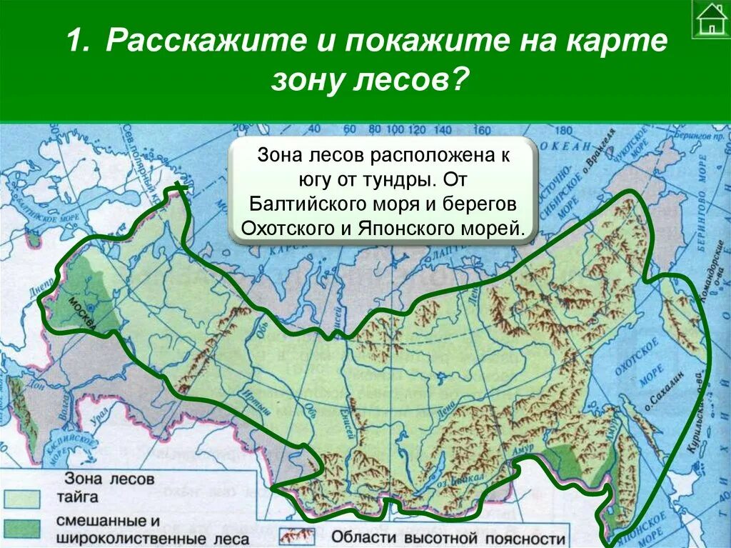 Расположение зоны лесов. Лесная зона на карте России. Положение зоны лесов. Зона лесов на карте.
