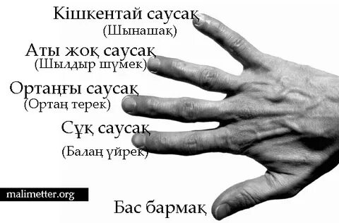 Әйелдердің есектері шынымен үлкен