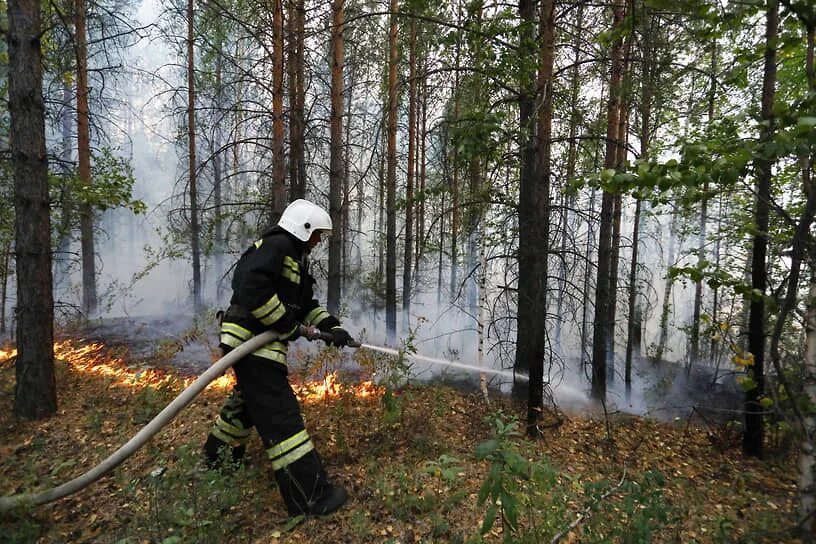 Крупные Лесные пожары. Российский день леса. Лесные пожары Югра. Пожары лесов в России.