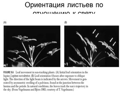 Ориентация листа бумаги
