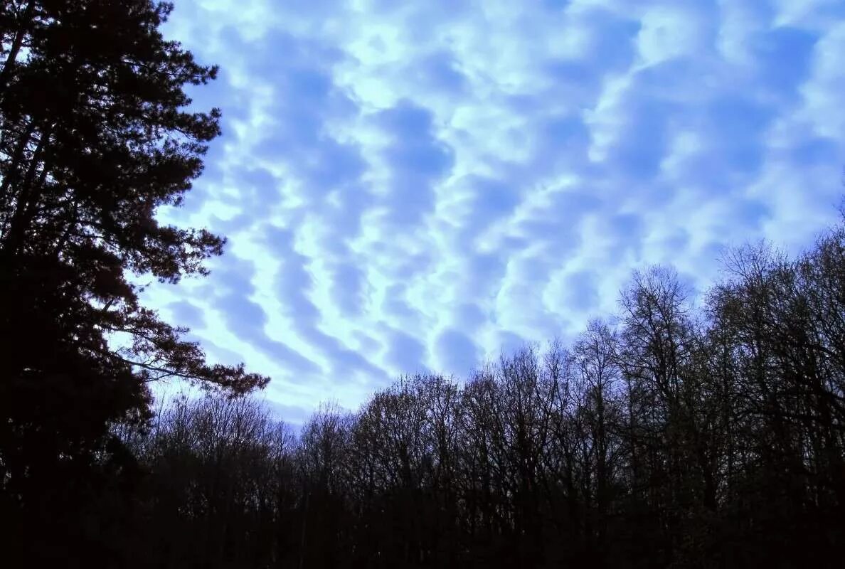 сделать небо движущимся. движение звезд в небе по оси. от чего двигаются облака. сделать небо движущимся. сделать небо движущимся.