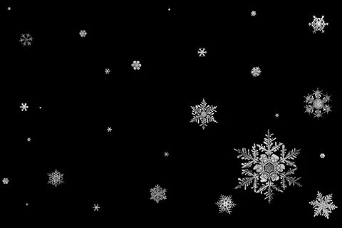 Черные фоны со снегом Смотреть 79 идеи на фото бесплатно