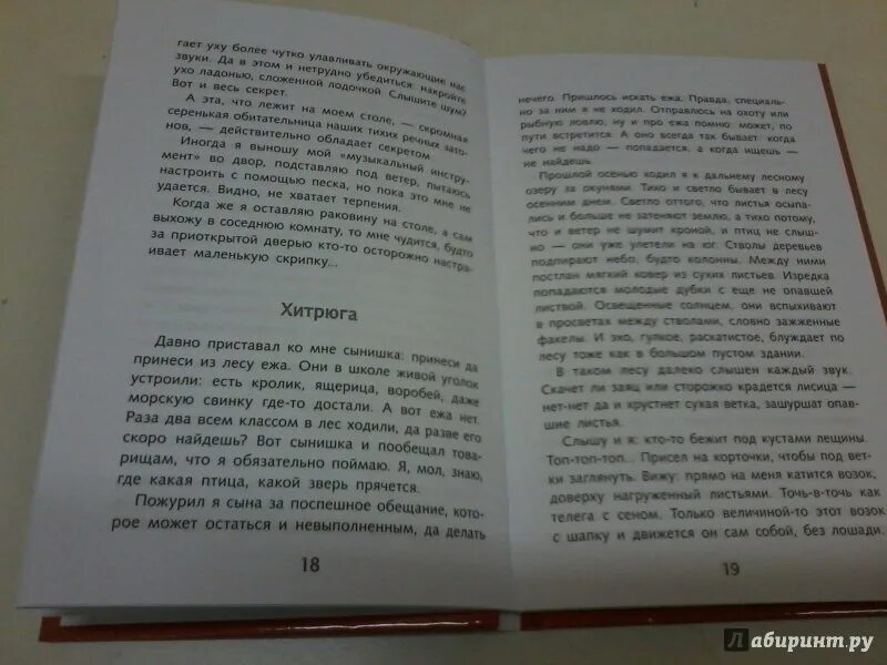 Носов живое пламя слушать аудиокнигу. Живое пламя обложка книги. Иллюстрация к рассказу живое пламя Носова.