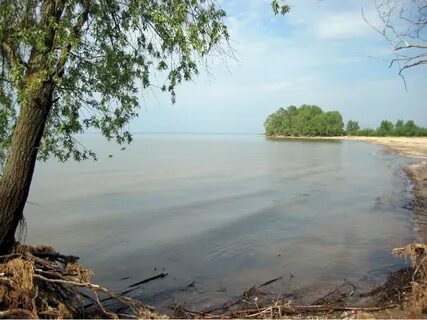 Погода в лаишево на неделю