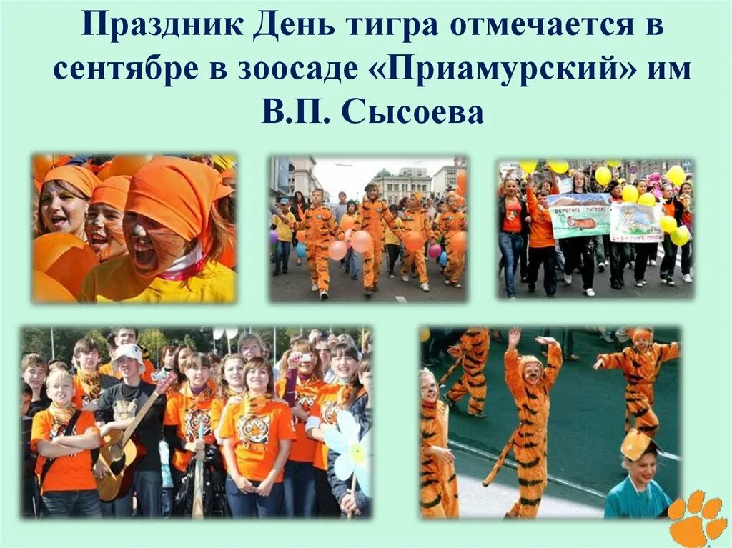 Какого числа день тигра. Буклет ко дню тигра.