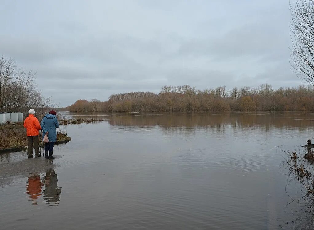 Уровень воды ока новинки. Уровень воды в Оке. Разлив Оки в Рязани. Вода в Оке Рязань уровень воды. Уровень воды в Оке Рязань.