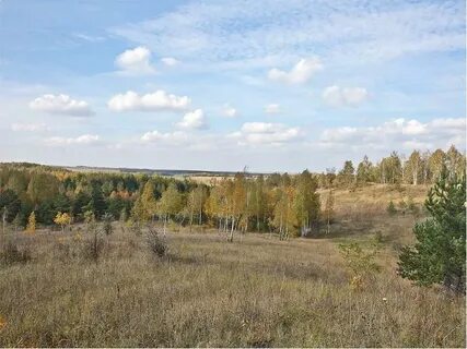 Заповедник лысые горы