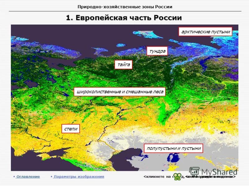 Какая природно хозяйственная зона наиболее густо. Природные зоны Европы. Природные зоны европейской России. Смешанные широколиственные леса.степи и пустыни. Хозяйственные зоны России.