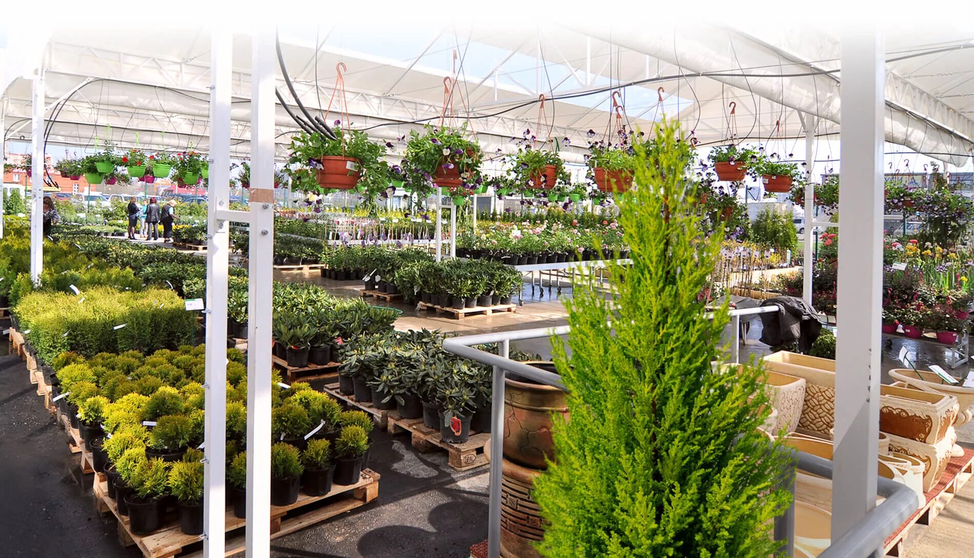 флос садовый центр. садовый центр магазин. садовый центр купавна. садовый центр купавна. флос садовый центр.