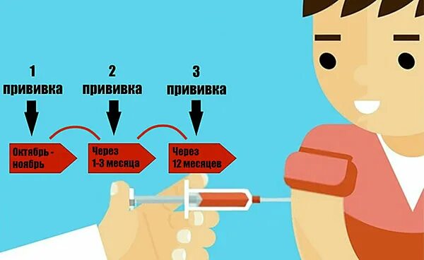 Когда нужно делать прививку от клеща. Когда нужно делать прививку от клеща