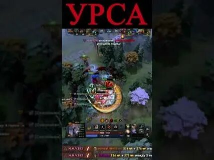 Урса керри