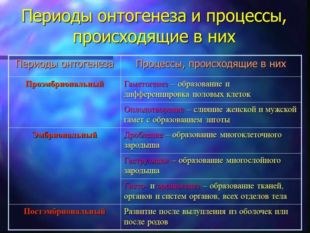 Дать определение онтогенез. Периоды и стадии онтогенеза. Эмбриональный и постэмбриональный период. Основные периоды онтогенеза. Характеристика периодов онтогенеза.