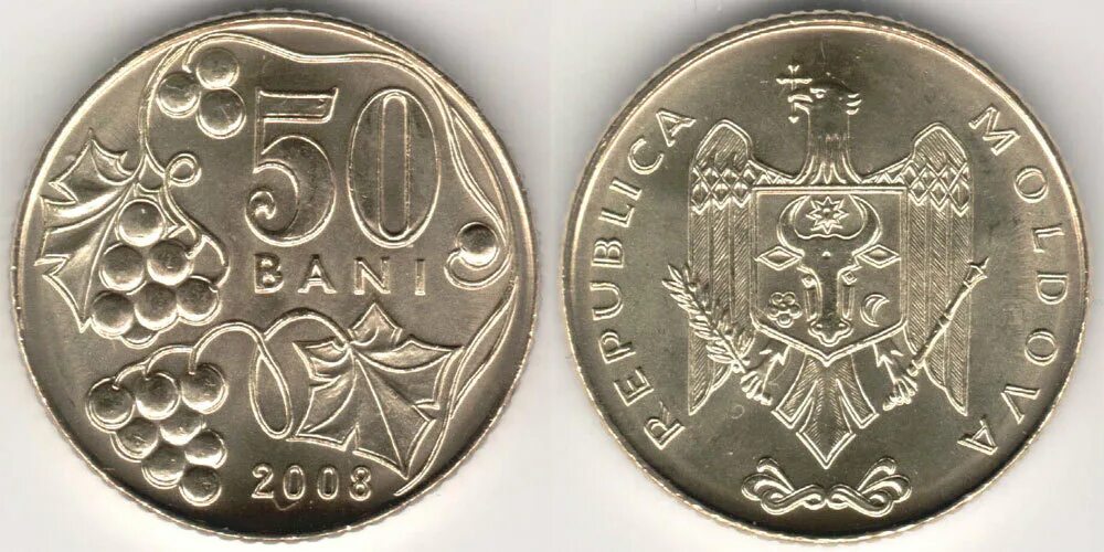 Где купить молдовы. Молдавский лей монета. Монеты Молдовы бани 1997. Молдова монеты 10 бани 2008. Молдавия 10 бань 2008.