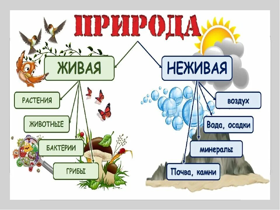 Конспект урока окружающий мир природа