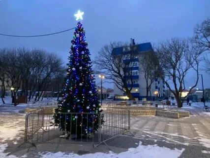 Ели ставрополь