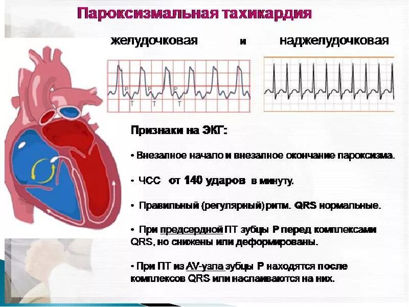 Чсс 140. Чсс 140