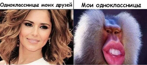 Мем одноклассница. Моя одноклассница. приколы про одноклассниц. мои одноклассницы прикол. мои одноклассницы мем.