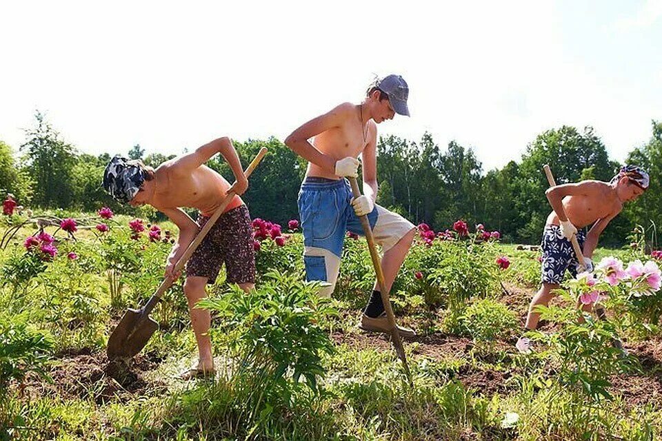 Видео работают дети