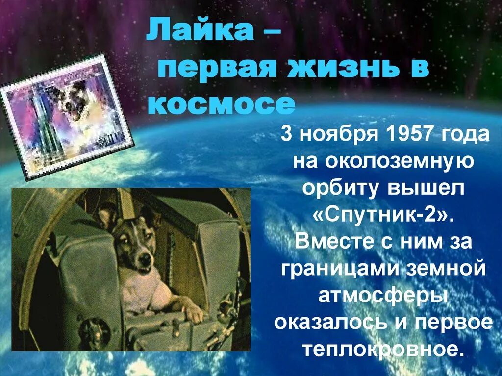 Сообщение на тему космонавтики. День космонавтики классный час. Информация по теме день космонавтики. День космонавтики презентация. День космонавтики слайд.