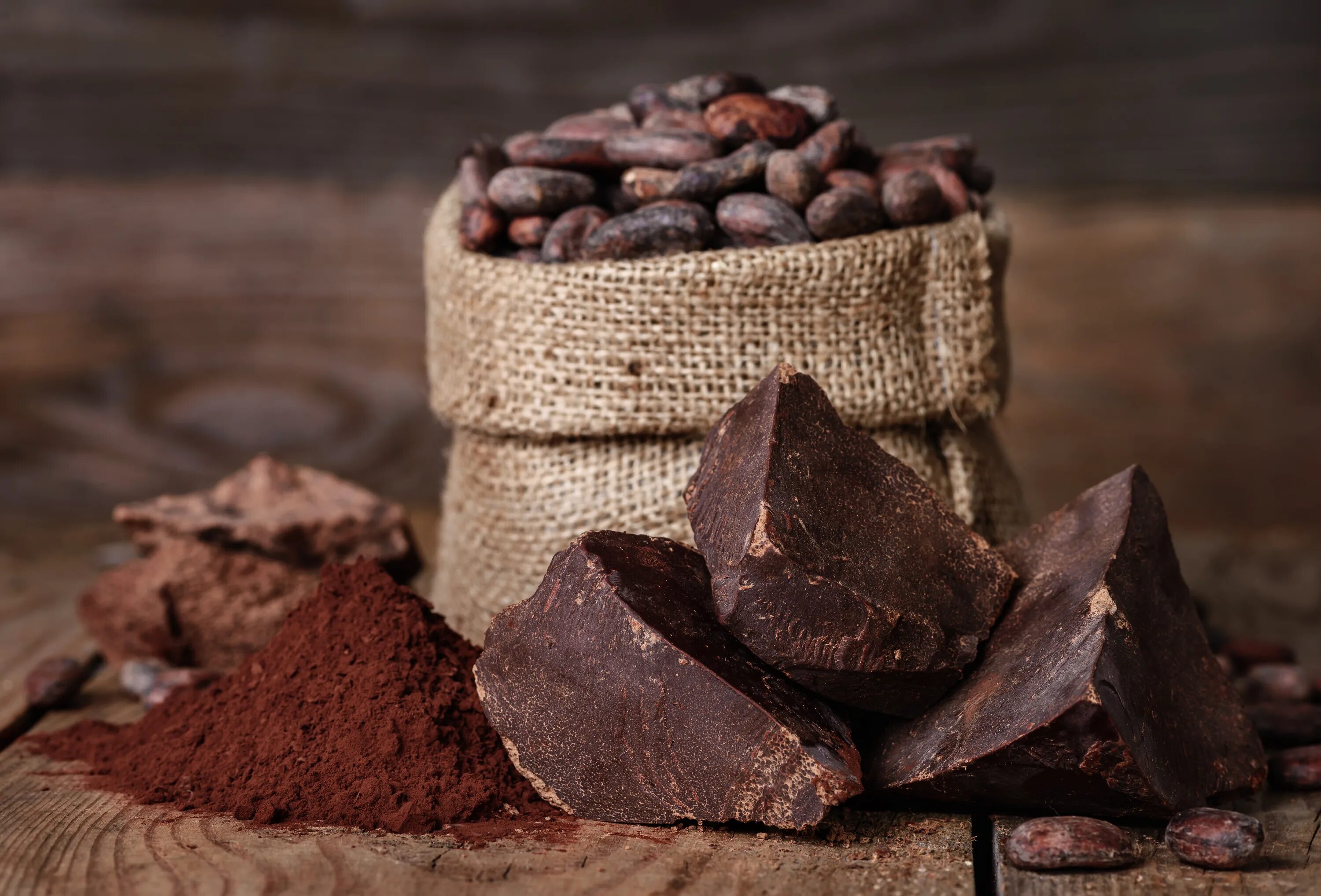 Chocolate is extracted from the