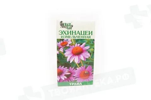 Эхинацея казань