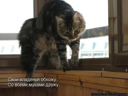 Что значит буська