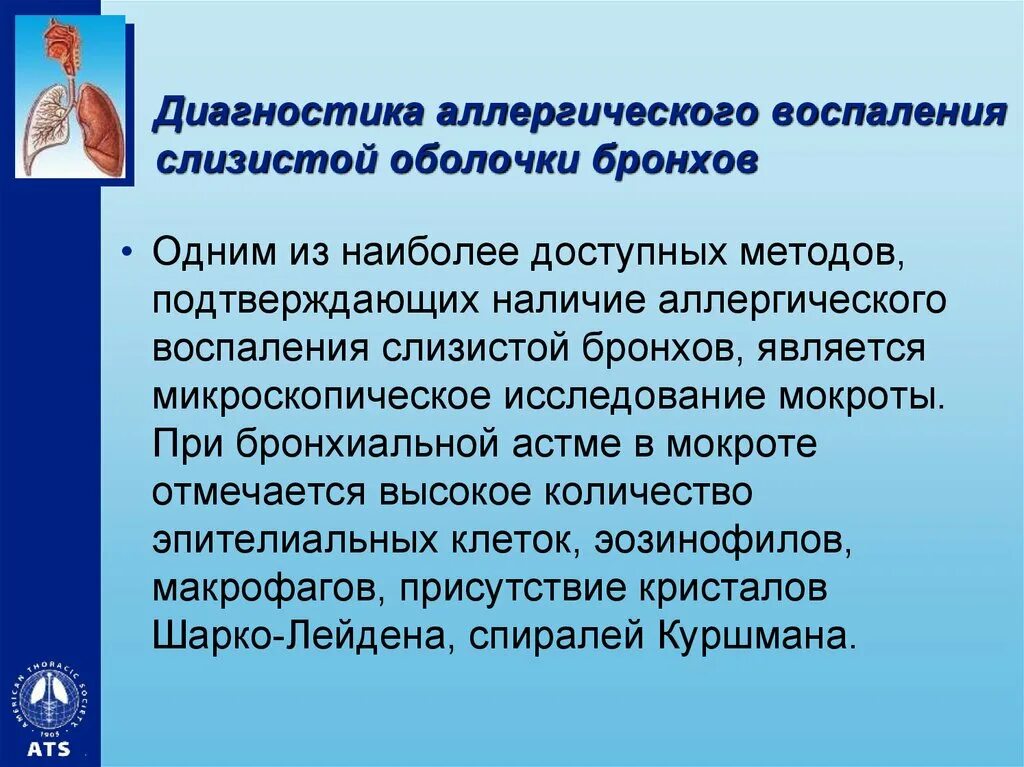 Мокрота при аллергии. Микроскопия мокроты при бронхиальной астме. Мокрота при бронхиальной астме. Аллергическое воспаление слизистой оболочки бронхов. Аллергия в слизистой оболочке бронхов.