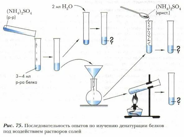 Этапы организации эксперимента. Алгоритм проведения эксперимента. Последовательность основных этапов педагогического эксперимента. Порядок этапов проведения эксперимента:. Основные этапы проведения эксперимента.