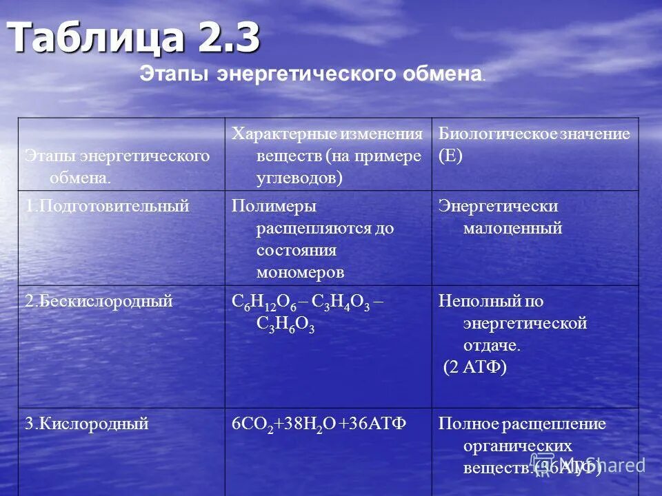 Где происходят этапы энергетического обмена