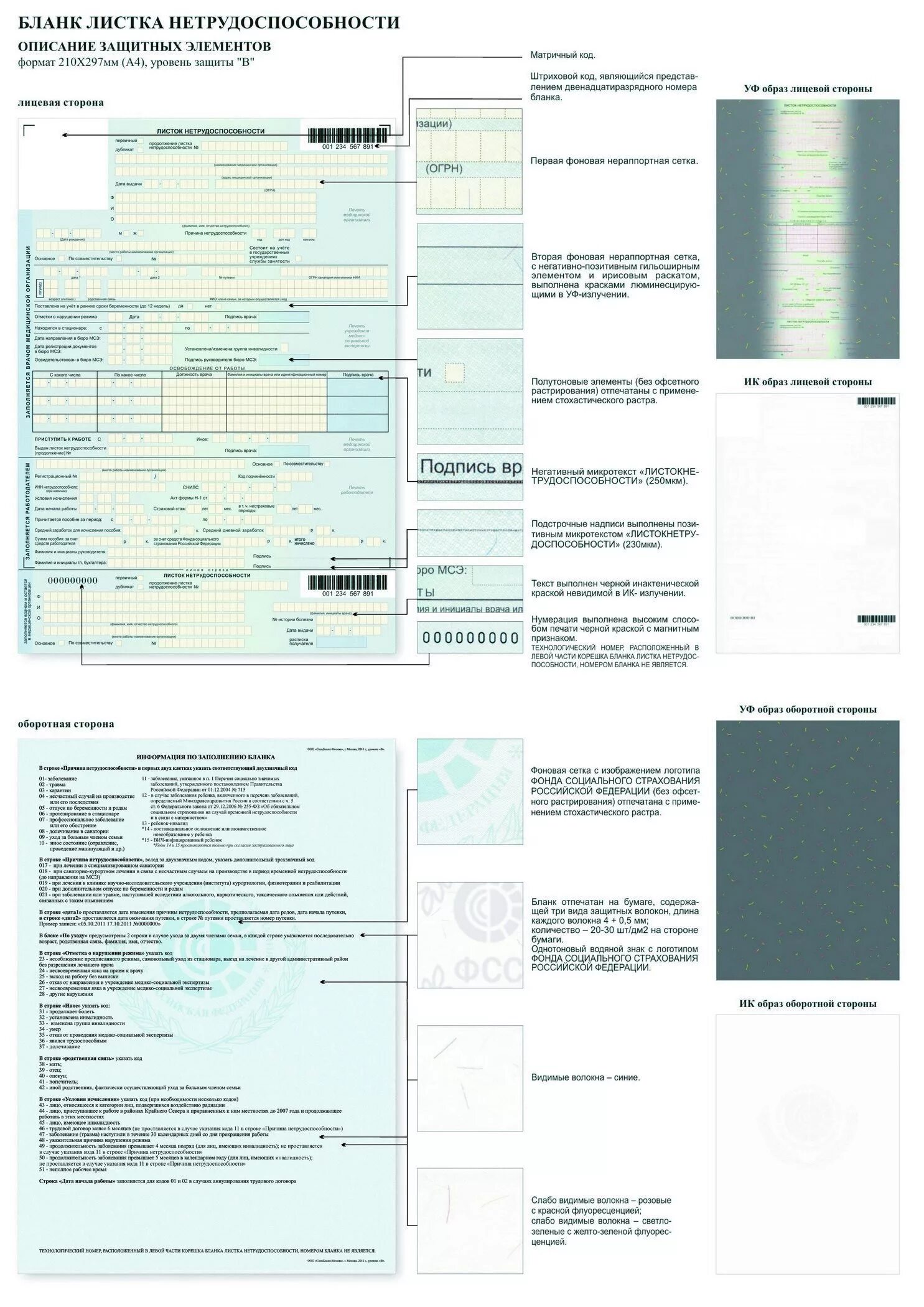 Больничный лист для ип. Заполнение формы Бланка листка нетрудоспособности. Листок нетрудоспособности бланк заполненный. Оборотная сторона Бланка листа нетрудоспособности. Форма Бланка листка нетрудоспособности.