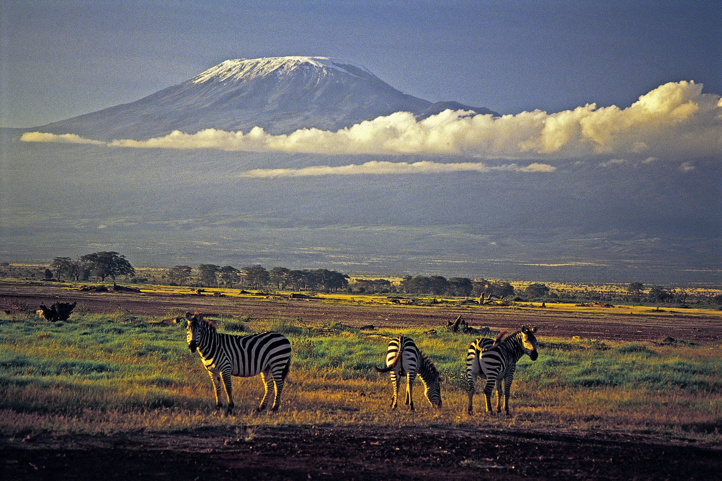 Национальный парк Килиманджаро в Африке. Танзания Килиманджаро. Танзания гора Килиманджаро. Гора в Кении Килиманджаро. La africa