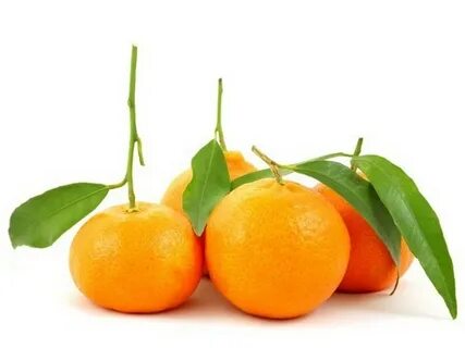 Murcott fruit