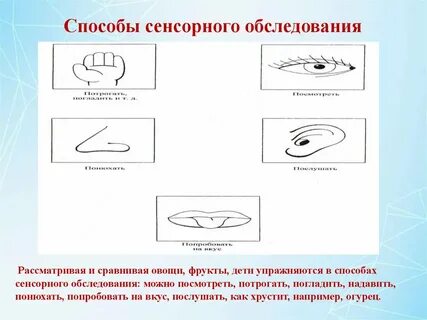 Сенсорное обследование
