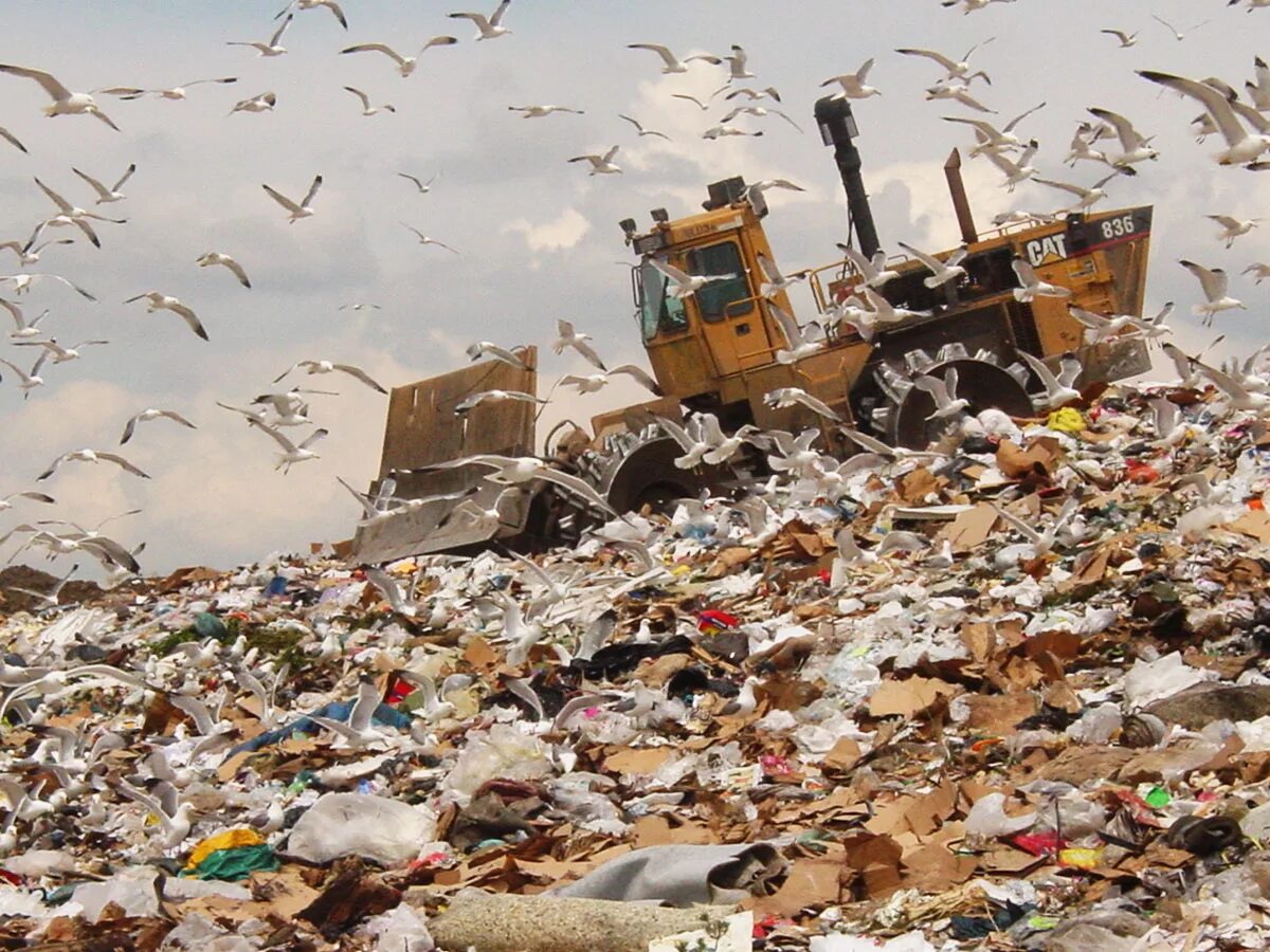 Утилизация твердых бытовых отходов. Municipal waste garbage pack. Solid municipal waste. Bianca landfill. Твердые промышленные отходы.