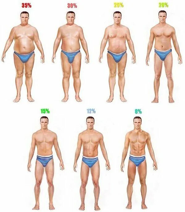 Процент жира. % Жира в организме. Процент сдира в организме. Мужская фигура.