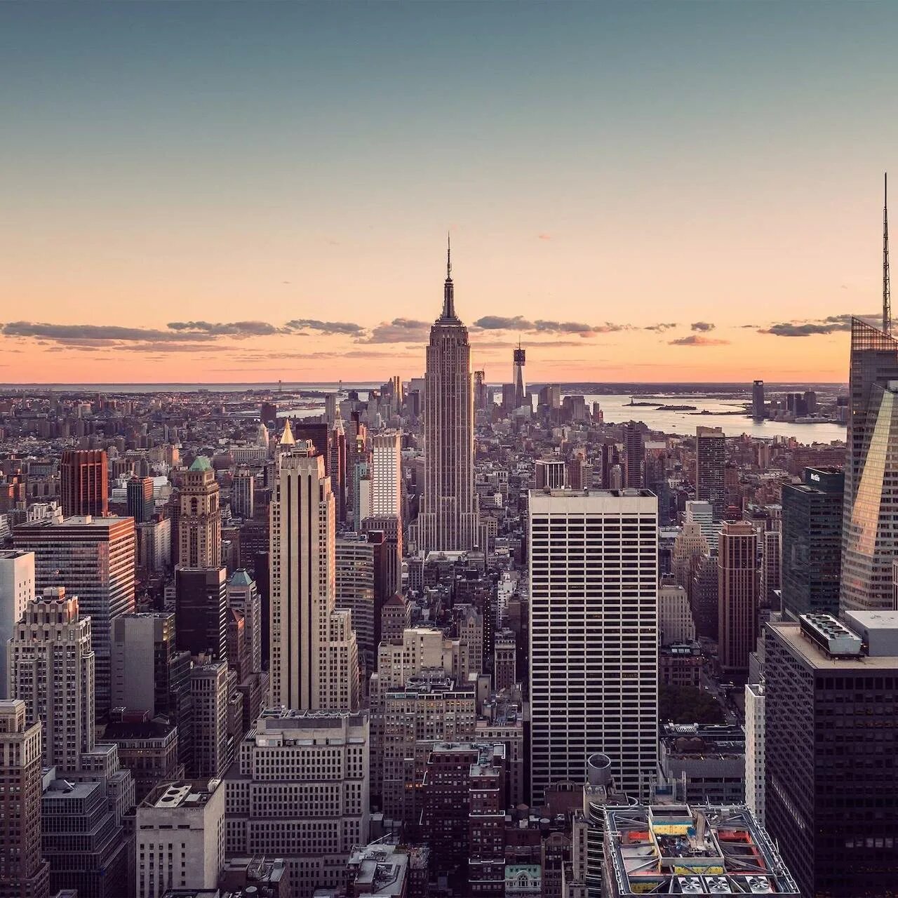 New york is the largest city