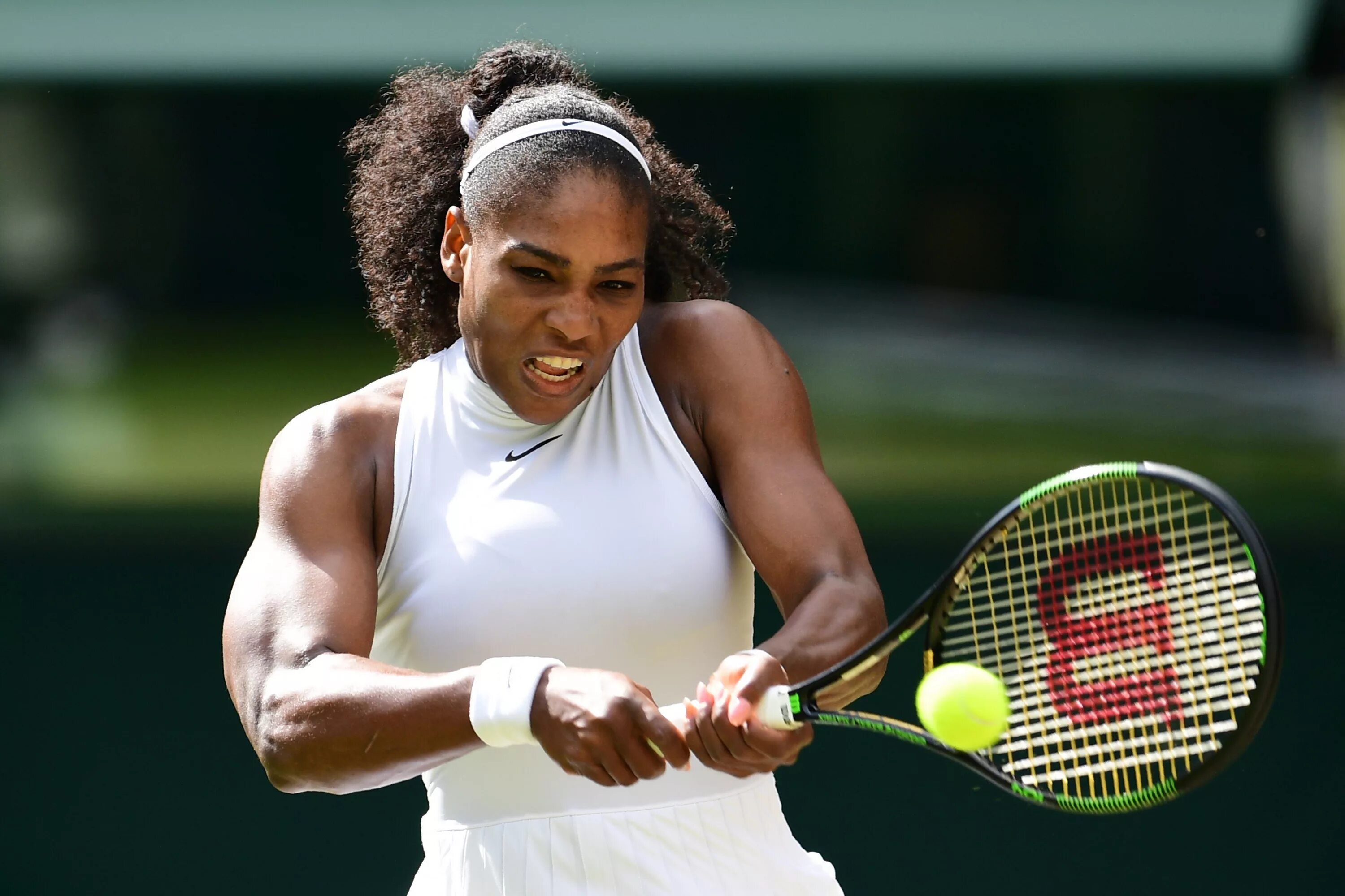 Уильямс. Уильямс. Серена джамека уильямс. Серена иансити. Уильямс.